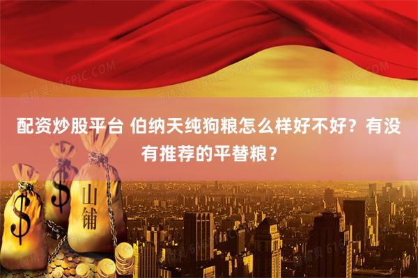 配资炒股平台 伯纳天纯狗粮怎么样好不好?有没有推荐的平替粮?